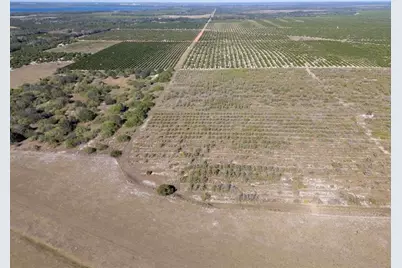 3073  Cr 627, Avon Park, FL 33825 - Photo 3