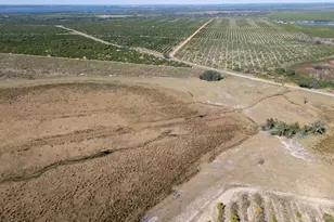 3073 Cr 627, Avon Park, FL 33825 - Photo 7