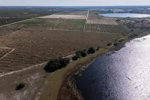 3073 Cr 627, Avon Park, FL 33825 - Photo 17