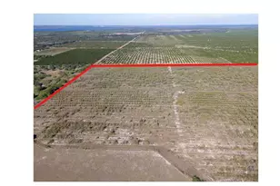 3073 Cr 627, Avon Park, FL 33825 - Photo 27