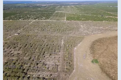 3073  Cr 627, Avon Park, FL 33825 - Photo 5