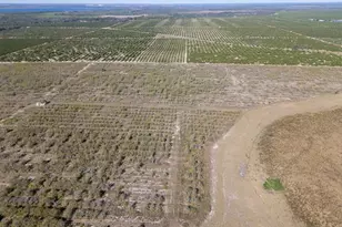 3073 Cr 627, Avon Park, FL 33825 - Photo 5