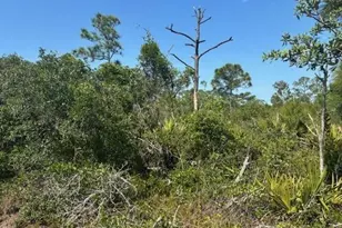 314 Falcon St, Lake Placid, FL 33852 - Photo 3