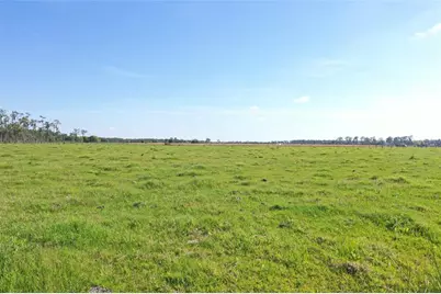 170  Angus Rd, Venus, FL 33960 - Photo 7