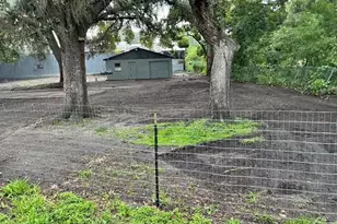 1035 N David, Lakeland, FL 33801 - Photo 5