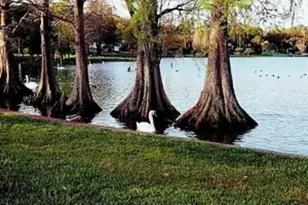 1035 N David, Lakeland, FL 33801 - Photo 9