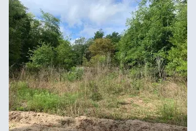 0  Douglas Drive, Interlachen, FL 32148 - Photo 1