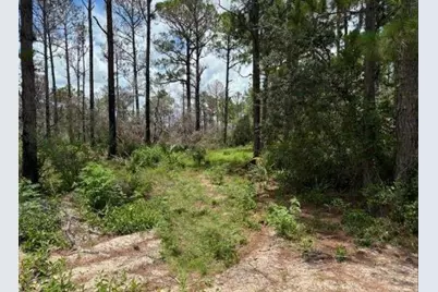 328  Claverton Dr, Lake Placid, FL 33852 - Photo 1