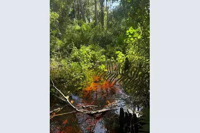 0  Anno St, Tampa, FL 33625 - Photo 13