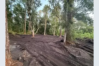 0  Anno St, Tampa, FL 33625 - Photo 7