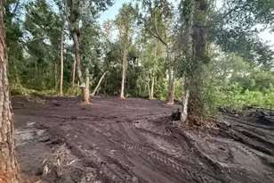 0 Anno St, Tampa, FL 33625 - Photo 7