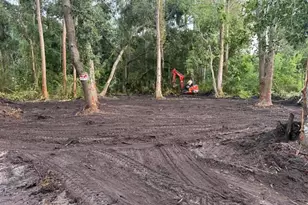 0 Anno St, Tampa, FL 33625 - Photo 23