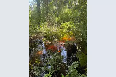 0  Anno St, Tampa, FL 33625 - Photo 19