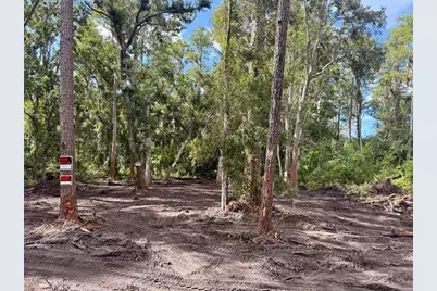 0  Anno St, Tampa, FL 33625 - Photo 1