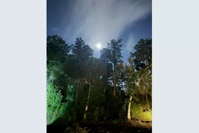 0  Anno St, Tampa, FL 33625 - Photo 15