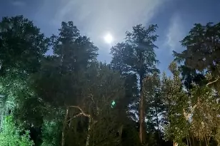 0 Anno St, Tampa, FL 33625 - Photo 15