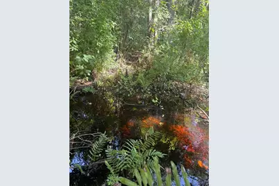 0  Anno St, Tampa, FL 33625 - Photo 11