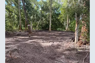 0  Anno St, Tampa, FL 33625 - Photo 9