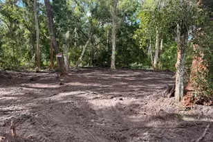 0 Anno St, Tampa, FL 33625 - Photo 9