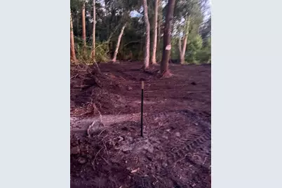 0  Anno St, Tampa, FL 33625 - Photo 5