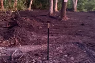 0 Anno St, Tampa, FL 33625 - Photo 5