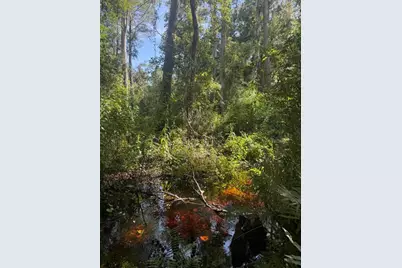 0  Anno St, Tampa, FL 33625 - Photo 21