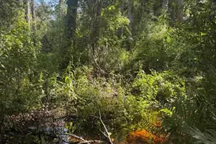 0 Anno St, Tampa, FL 33625 - Photo 21