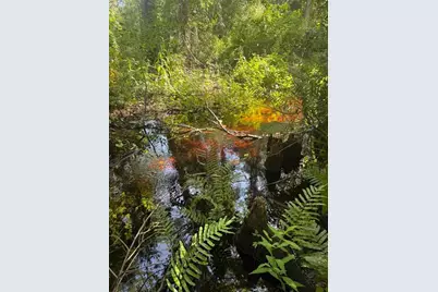 0  Anno St, Tampa, FL 33625 - Photo 17