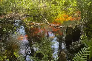 0 Anno St, Tampa, FL 33625 - Photo 17