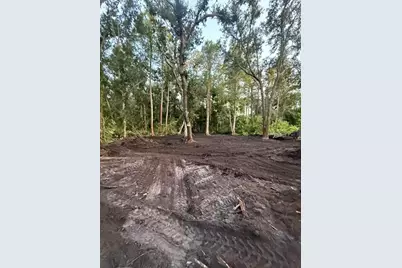 0  Anno St, Tampa, FL 33625 - Photo 25