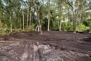 0 Anno St, Tampa, FL 33625 - Photo 25