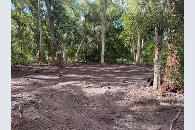 0  Anno St, Tampa, FL 33625 - Photo 3