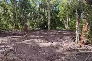 0 Anno St, Tampa, FL 33625 - Photo 3