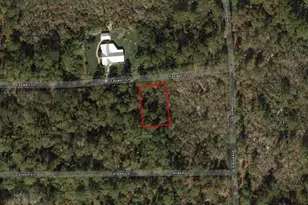 229 Caswell Ln, Lake Placid, FL 33852 - Photo 3