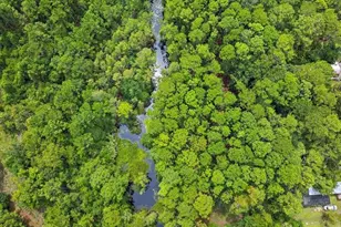 9152 Us Hwy 1 S, Saint Augustine, FL 32086 - Photo 11