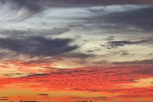 3100 NE 49th St, Fort Lauderdale, FL 33308 - Photo 41