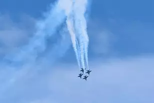 3100 NE 49th St, Fort Lauderdale, FL 33308 - Photo 15