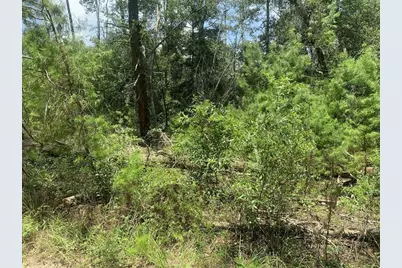 111  New York Ave, Satsuma, FL 32148 - Photo 1