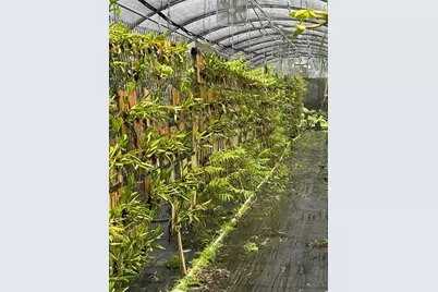 3730  161st Ter N, Loxahatchee, FL 33470 - Photo 7