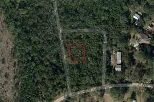 0 Oregon St, Interlachen, FL 32148 - Photo 3