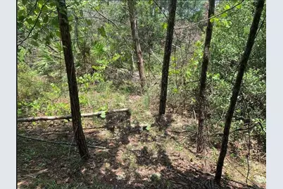 213  Kansas St, Satsuma, FL 32189 - Photo 1