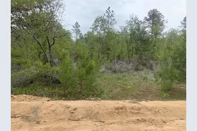 0  May Lane, Interlachen, FL 32148 - Photo 1