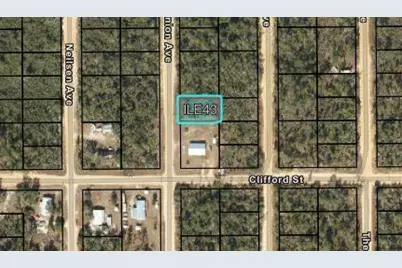 204  Usina Ave, Interlachen, FL 32148 - Photo 3