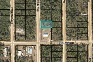 204 Usina Ave, Interlachen, FL 32148 - Photo 3