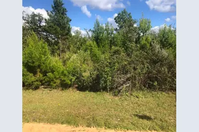 204  Usina Ave, Interlachen, FL 32148 - Photo 1