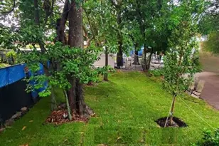 431 NW 7th Terrace, Fort Lauderdale, FL 33311 - Photo 21