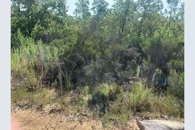 0  Manatee St, Interlachen, FL 32148 - Photo 1