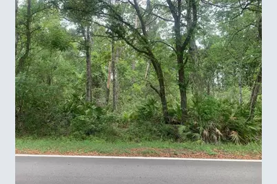 0  Theresa Ave, Interlachen, FL 32148 - Photo 1