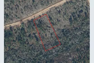 0  Nezperce Drive, Alford, FL 32420 - Photo 3