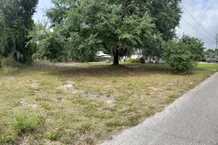 116 Happiness Ave, Lake Placid, FL 33852 - Photo 13